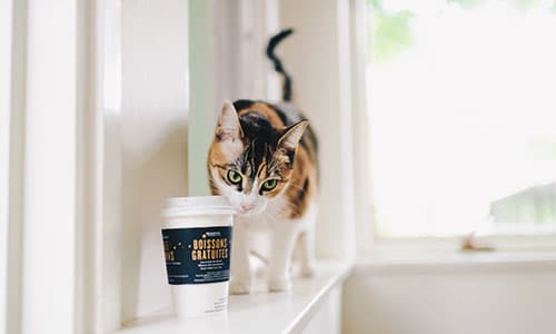 Profitable Business - Techro